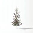 © JBMotillon - Sapin de Noël minimaliste avec aiguilles vertes sur fond blanc immaculé.