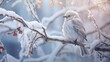 © SaiMaiJuthamas - A rare white crow perched on a snow-covered branch in a serene winter landscape, with delicate snowflakes drifting around.