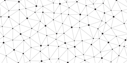 Leinwandbilder - Connection structure. Polygonal Mesh Background Vector design digital technology concept Global network connection data structure.
