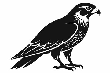 Falcon Silhouette, Falcon Bird Vector, Falcon Black Silhouette Vector isolated on a white background