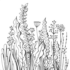 Wall Mural - Beautifully drawn for coloring underwater flora. Black and white illustration with algae.