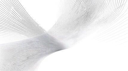 Wall Mural - minimalist wallpaper with delicate lines design