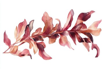 Wall Mural - Watercolor painting of a dulse seaweed branch with reddish leaves, ideal for seed packaging or nature-inspired designs