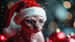 © Alexander - santa red sphynx cat Christmas mood. New year concept