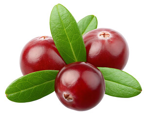 Sticker - Cranberry with green leaves, clipping path isolate on white  background.AI GENERATED