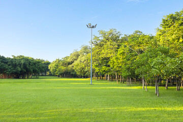 Scenic view of the park with green grass field and a blue sky in the evening. Beautiful green park