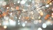 © MdAnontoIslam - Frosted Red Berries in a Winter Wonderland: A Serene Close-Up Capturing Nature's Icy Beauty winter