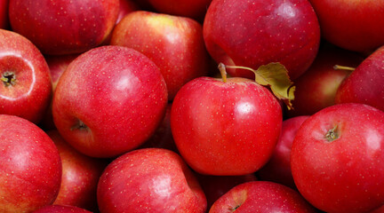 Wall Mural - Red apples background. Tasty and juicy. High quality photo.