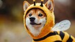 © CYBERPINK - A dog is wearing a bee costume and has its eyes closed