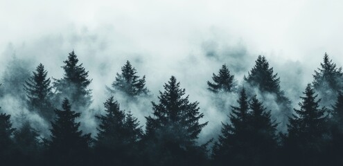 Wall Mural - A panoramic view of the mountainous landscape in fog in the winter