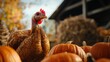 © padungsak - Turkey among pumpkins in a picturesque autumn setting.