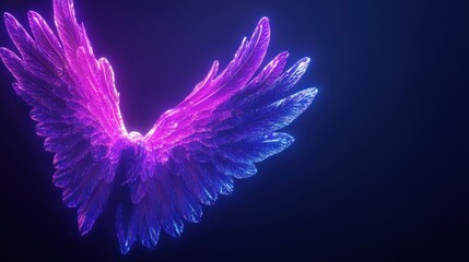 Poster - neon pink and blue angel wings with a dark blue background.