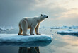 © Olga Nevskaya - A solitary polar bear stands on an ice floe, gazing across the tranquil arctic waters during Easter morning