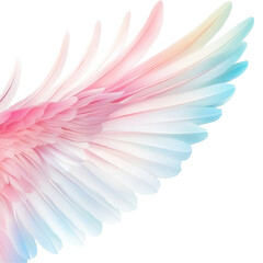 Canvas Print - a wing of a bird with pink, blue and white feathers