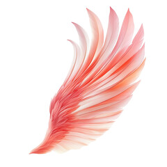 Wall Mural - A pink feather with a white background