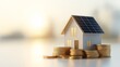 © Pojjanee - Miniature House with Solar Panels and Coins Displayed