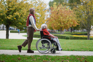 Wall Mural - Granddaughter on an autumn walk in the park with her grandmother, pushing her in wheelchair. Side view.