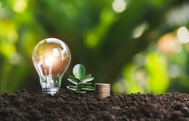 Wall Mural - Energy saving light bulb and tree growing on stacks of coins on nature background. Saving, accounting and financial concept.