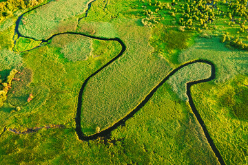 Wall Mural - A breathtaking view of a winding river flowing through a swampy area in sunlight.