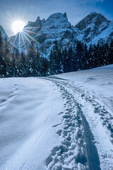 Wall Mural - Julian Alps immersed in snow. Riofreddo Valley, wild and magical