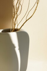 Canvas Print - Modern white ceramic vase with dry branch on beige   background with sunlight shadow close up.Copy space, Aesthetic scandinavian interior accessories. 