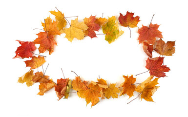 Wall Mural - Frame of autumn leaves isolated on white background with copy space. Dry colorful maple leaves, autumn concept.