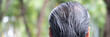 © 9nong - Back head portrait of middle aged Asian man, with minor hair loss as a sign of aging, concept image for hair fall, alopecia, grey hair, aging process, outdoor scene