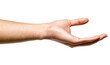 © Michael - A man's hand in a holding position isolated over transparent background, PNG cut-out