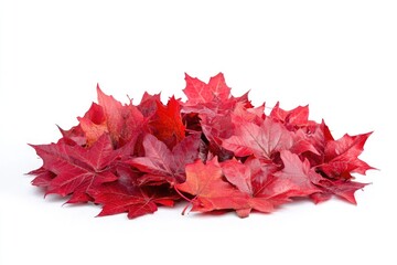 Sticker - A pile of vibrant red leaves on a clean white surface