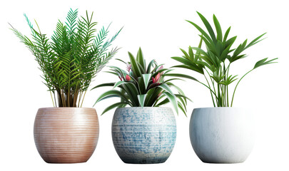 Wall Mural - Three potted plants are lined up on a white table. The plants are of different sizes and colors, with one being a large green plant, another a medium-sized green plant