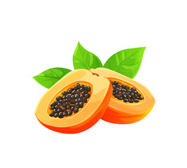 Wall Mural - Papaya Illustration