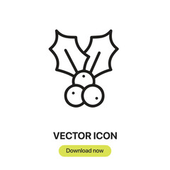 Fototapete - Holly icon vector. Linear-style sign for mobile concept and web design. Holly symbol illustration. Pixel vector graphics - Vector.	