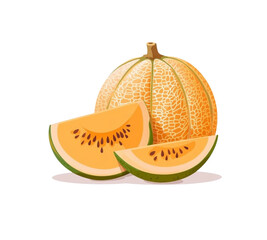 Wall Mural -  muskmelon with and a half cut muskmelon