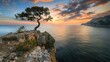 © Vlad - Tree Cliff. Lonely Tree Silhouetted Against Majestic Sea Rock at Sunset
