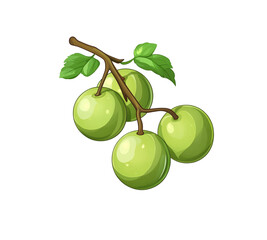 Wall Mural - Amla with Branch,