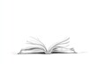 © Nico - Minimalistic Line Art of an Open Book Illustration