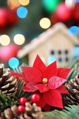 Wall Mural - festive christmas decoration with poinsettia pine cones