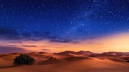 Wall Mural - Tranquil Desert Oasis Under Starry Sky at Dusk