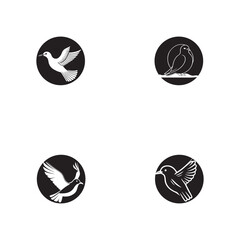 Wall Mural - Seagul bird logo icon vector