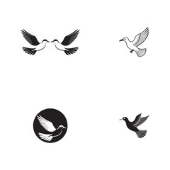 Wall Mural - Seagul bird logo icon vector