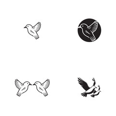 Wall Mural - Seagul bird logo icon vector