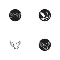 Wall Mural - Seagul bird logo icon vector