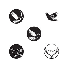 Wall Mural - Seagul bird logo icon vector