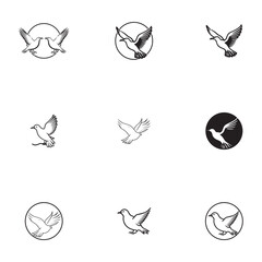 Wall Mural - Seagul bird logo icon vector