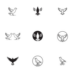 Wall Mural - Seagul bird logo icon vector