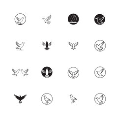 Wall Mural - Seagul bird logo icon vector