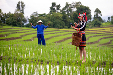 Young hmong woman in traditional ethnic attire using smartphone in lush rice paddy field with farmer in background