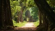 © Jakkarin - Enchanting Jungle Discovery: Ancient Temple Along Winding Path - Ultra-Detailed Adventure Photography