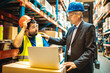 © Davor - Warehouse worker discussing logistics with manager over a laptop