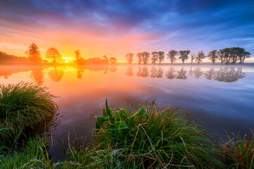 Wall Mural - colorful spring sunrise over the lake